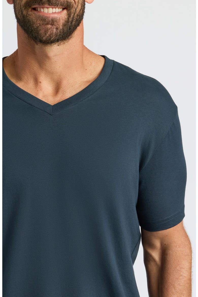 Short Sleeve V-Neck T-Shirt, Alternate, color, NAVY