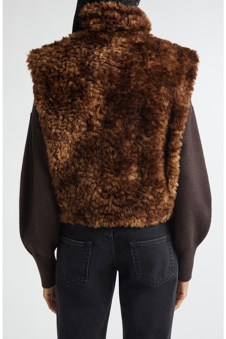 Jocya Faux Fur Vest, Alternate, color, BROWN