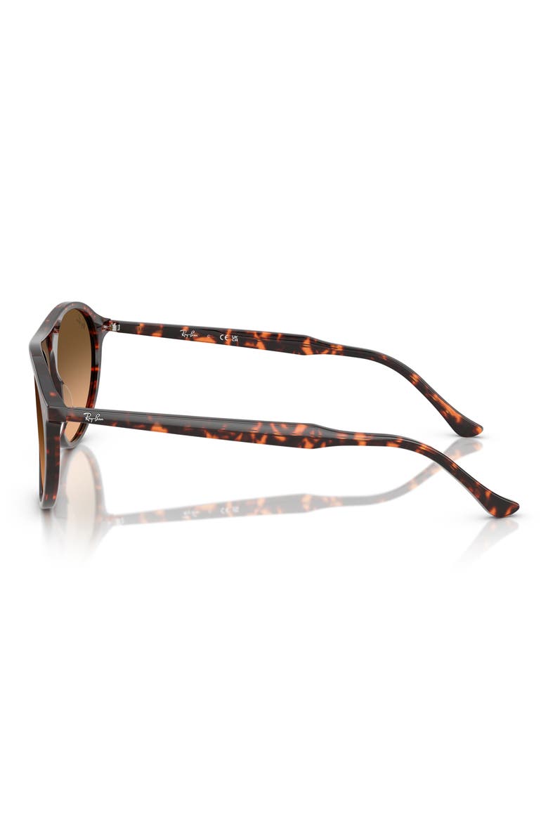 56mm Round Sunglasses, Alternate, color, RED HAVANA
