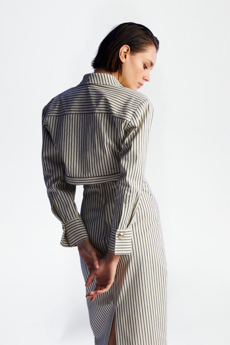 Striped Crop Jacket, Alternate, color, Beige
