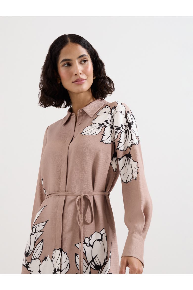 Kendra Belted Shirt Dress, Alternate, color, Brown
