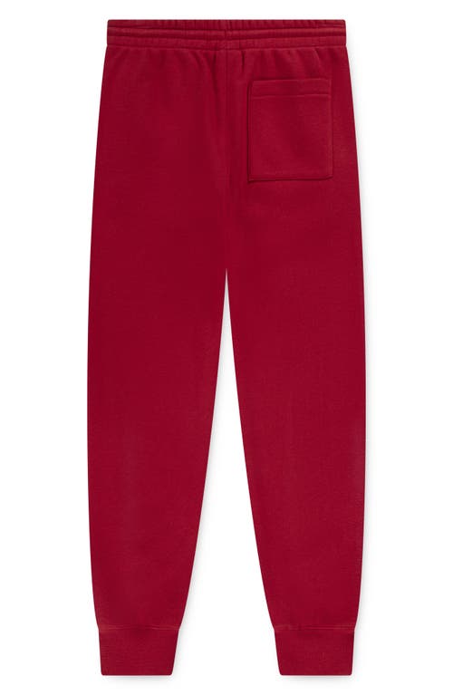 Jordan Kids' Mj Essentials Fleece Graphic Joggers In Red
