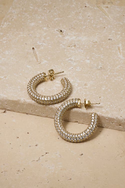 Untamed Petals Alex Crystal Hoops In Gold