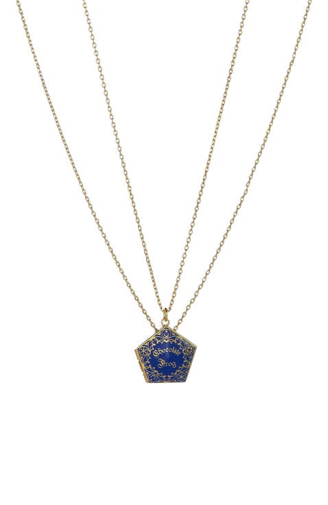 Harry Potter Chocolate Frog Necklace Set