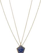 Alex and Ani Harry Potter Chocolate Frog Necklace Set