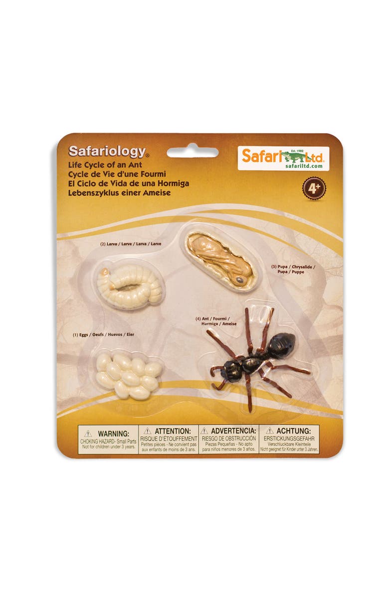 Safari Ltd. Life Cycle Of An Ant, Main, color, NO COLOR