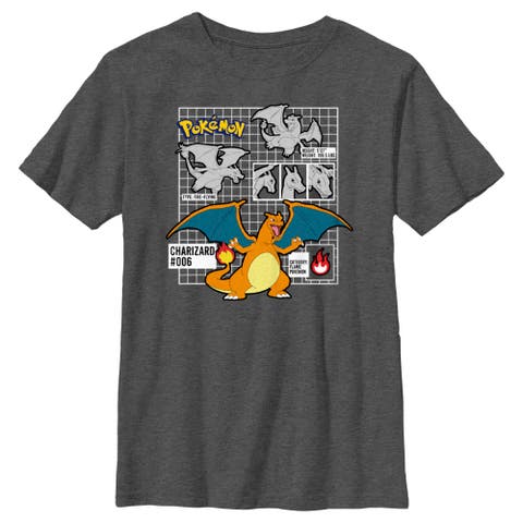 Boy's Pokemon Charizard Info Grid  Graphic T-Shirt