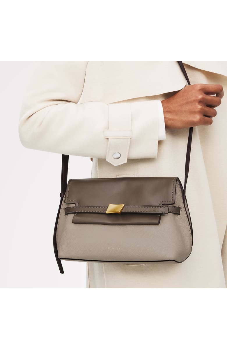 Radley The Christina - Colourblock Small Flapover Crossbody Bag, Alternate, color, Porcini