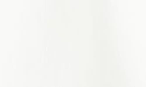 Wit & Wisdom Embroidered Peasant Top In White