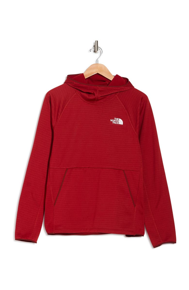 The North Face Echork Pullover Fleece Hoodie, Alternate, color,
