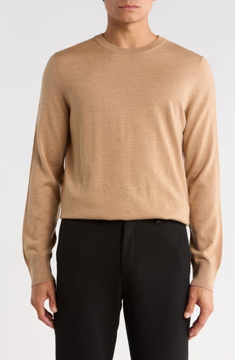Regular Fit Crewneck Wool Sweater
