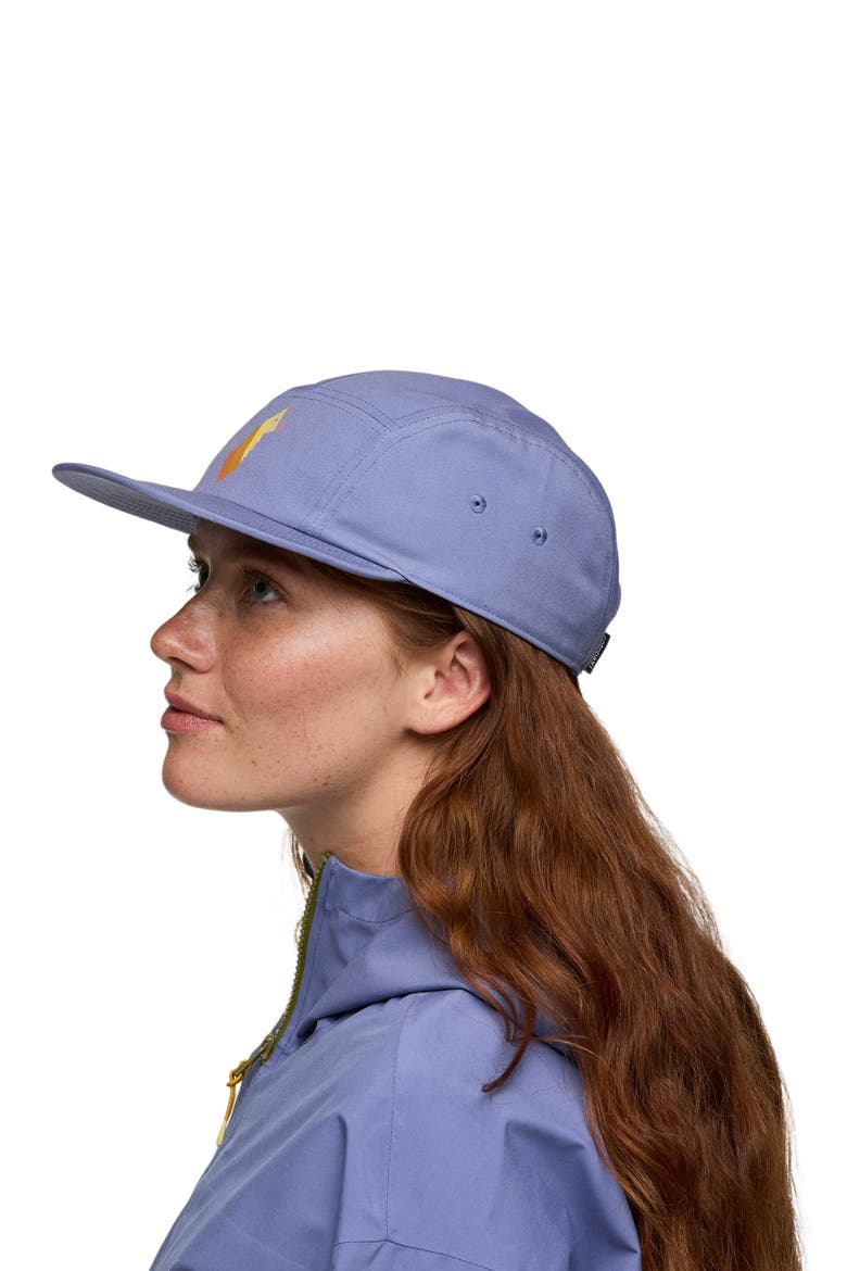 Llama Stripes 5-Panel Hat, Alternate, color, Blue Smoke