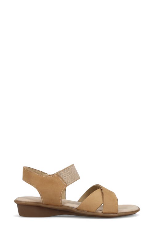 Sesto Meucci Euna Wedge Sandal In Sand
