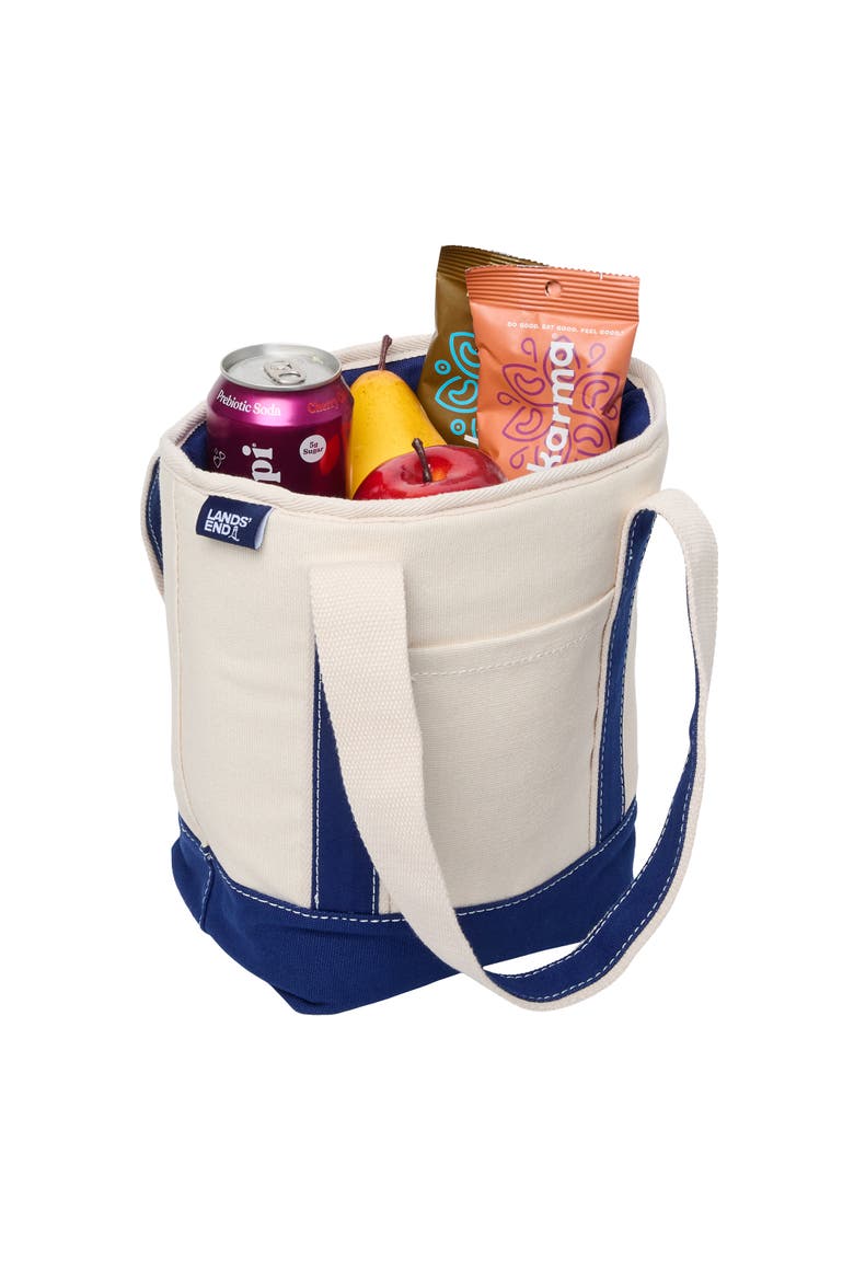 Small Insulated Tote Bag with Zip Closure, Travel Cooler Bag for the Pool, Park, and Day Trips, Alternate, color, Navy
