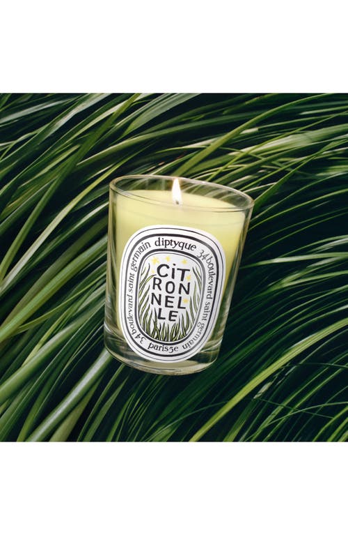 Diptyque Citronelle Classic Candle In Green