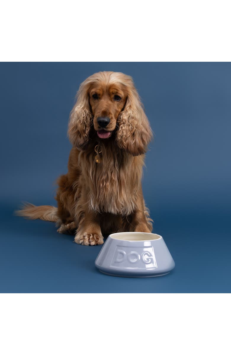 MASON CASH Non Tip Dog Bowl,  8.3 Inch, 54oz, Food & Water Angled Dish, Alternate, color, 