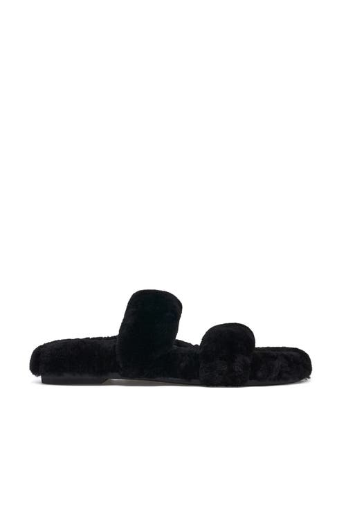 Grace Footwear Catania Sandal In Black