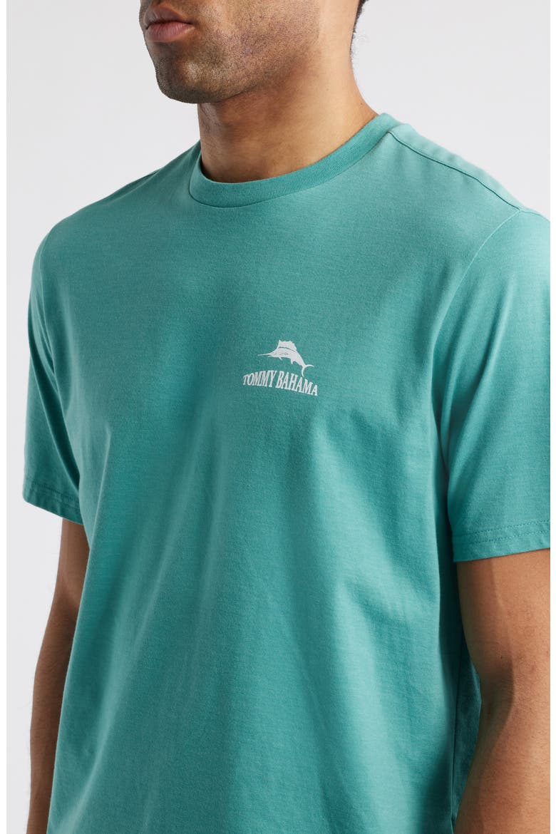 Dock It To Me Graphic T-Shirt, Alternate, color, BRISTOL BLUE HEATHER