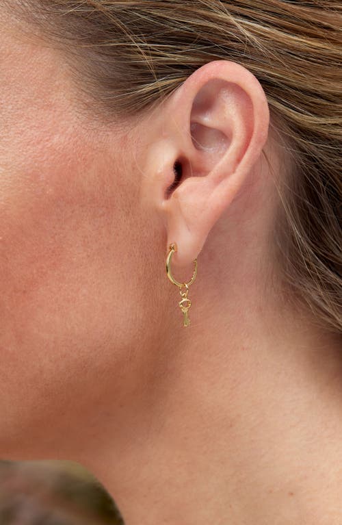 Savvy Cie Jewels 14k Yellow Gold Plated Over Sterling Silver .925 Multi Charm Interchangable Earrings In Yellow