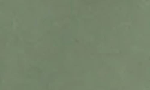 Apc A.p.c. Leon Organic Cotton Jacket In Green