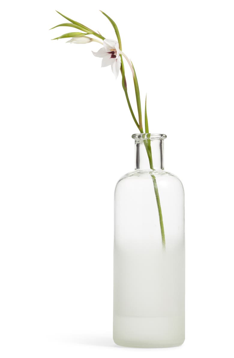 Treasure & Bond Treasure&Bond Large Frosted Bottle Vase, Main, color, 