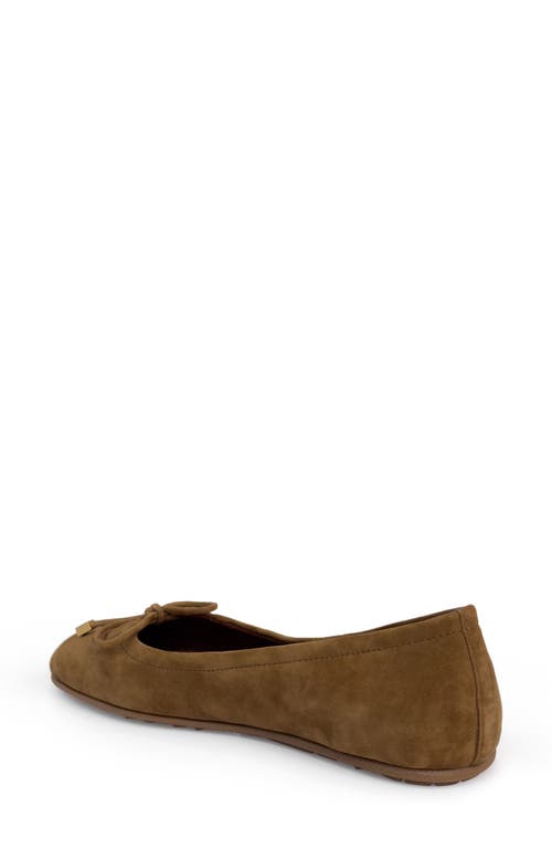 Aerosoles Perle Ballet Flat In Brown