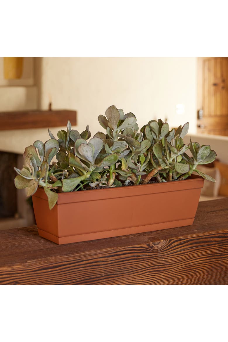 24 Inch Dura Cotta Window Box Planter, Alternate, color, Brown