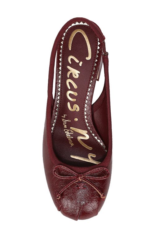Circus Ny By Sam Edelman Diane Slingback Pump In Burgundy