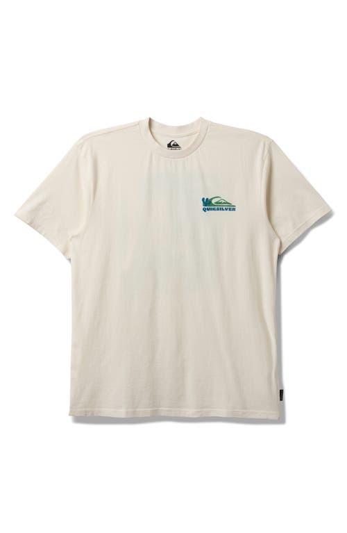 Quiksilver Everyday Paradise Cotton Graphic T-shirt
