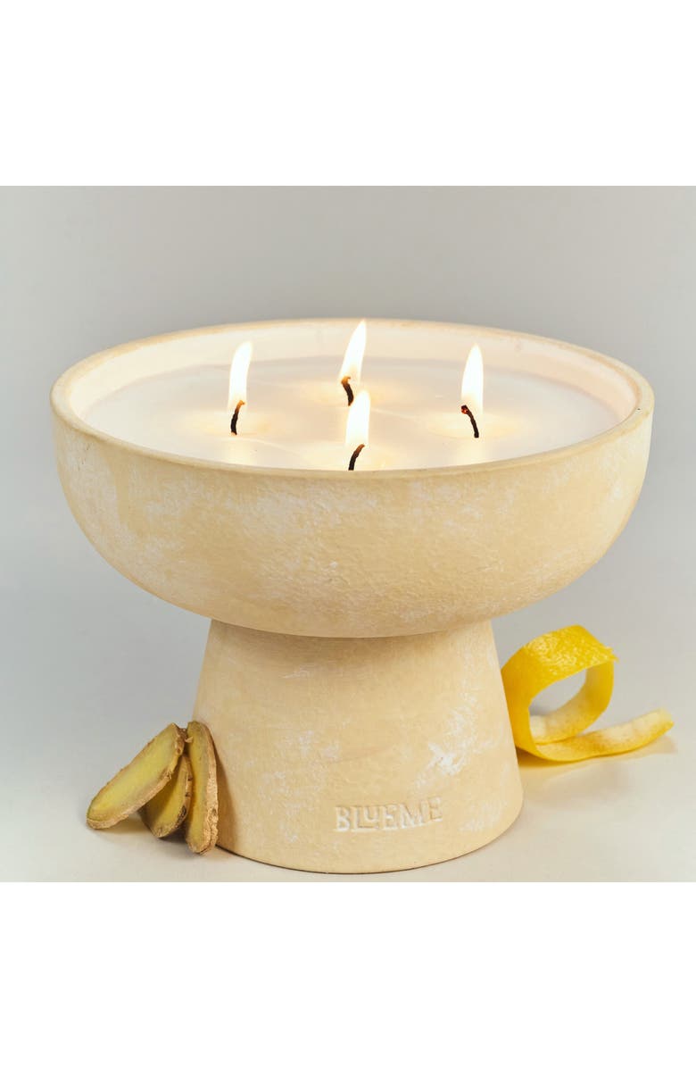 Blueme Happiness Large Ceramic Candle, Alternate, color,