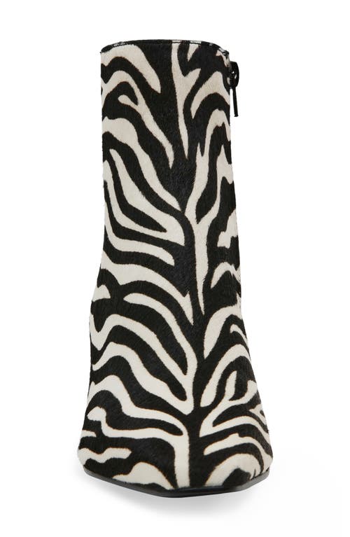 Steve Madden Delvie Zebra Faux Calf Hair Bootie In Zebra