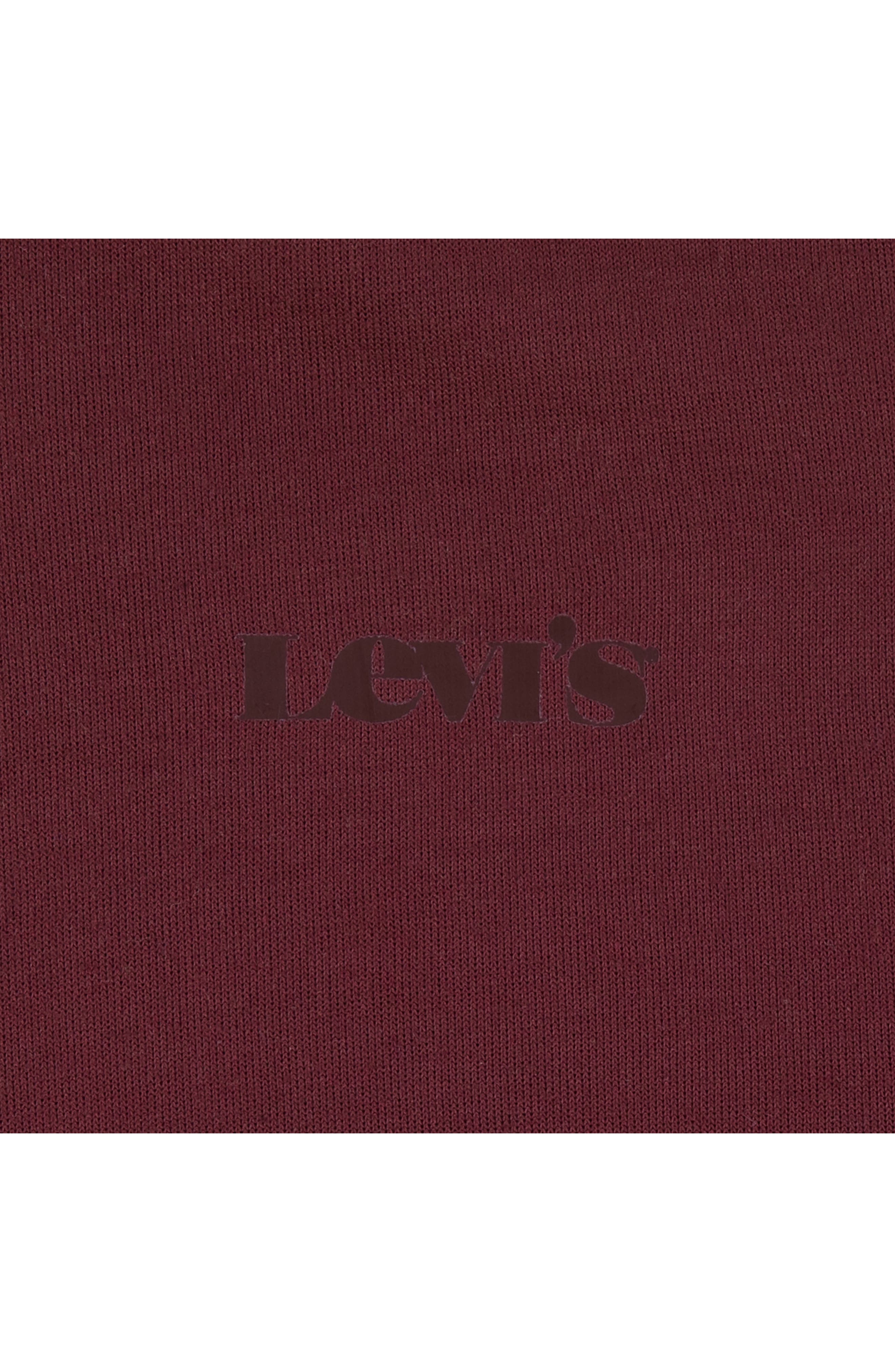 Levi's Kids' Relaxed Core Hoodie | Nordstromrack