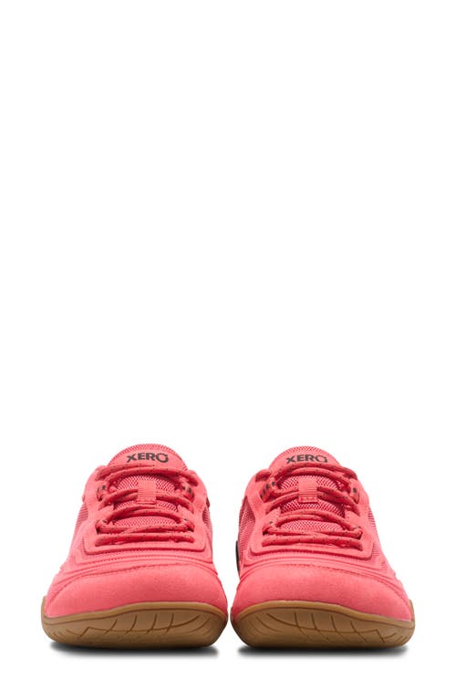Xero Shoes 360° Cross Training Shoe