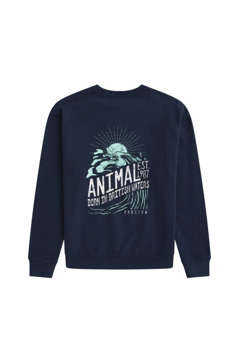 Jonah Padstow Sweatshirt, Alternate, color, Navy
