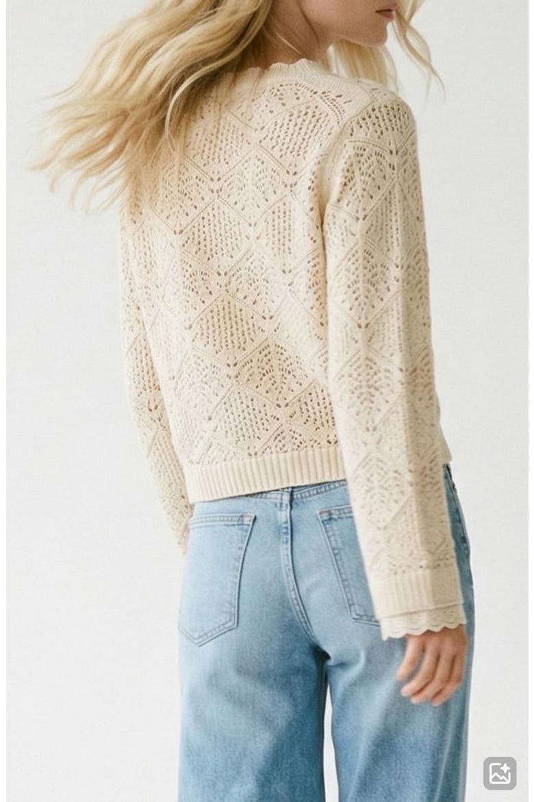 Susana Pointelle Cotton Blend Sweater, Alternate, color, BIRCH