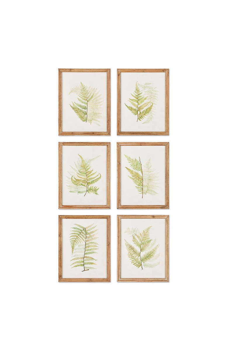 Napa Home & Garden Framed Fern Study Set of 6, Main, color,