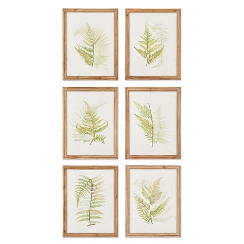 Framed Fern Study Set of 6