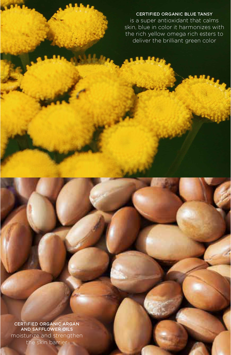 Intelligent Nutrients Liquid Green<sup>®</sup> Face Oil, Alternate, color, NO COLOR