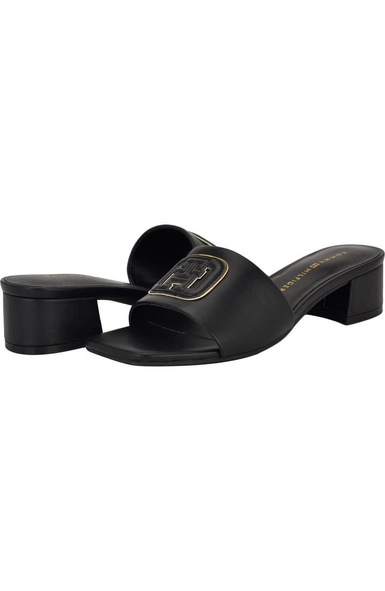 Tommy Hilfiger Penni Slide Sandal, Alternate, color, Black01