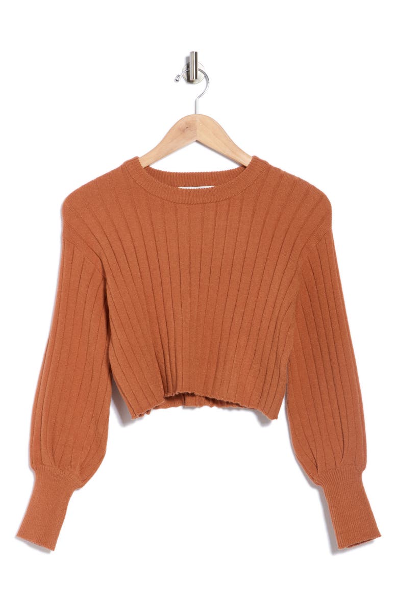 Vigoss Mossy Ribbed Crop Sweater, Alternate, color, Amber