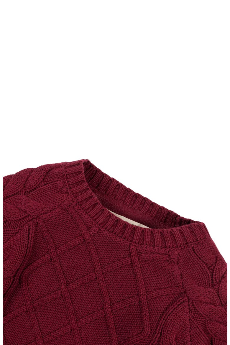 Baby Boys' Organic Raglan Fisherman Sweater, Infant, Alternate, color, Oxblood Fisherman