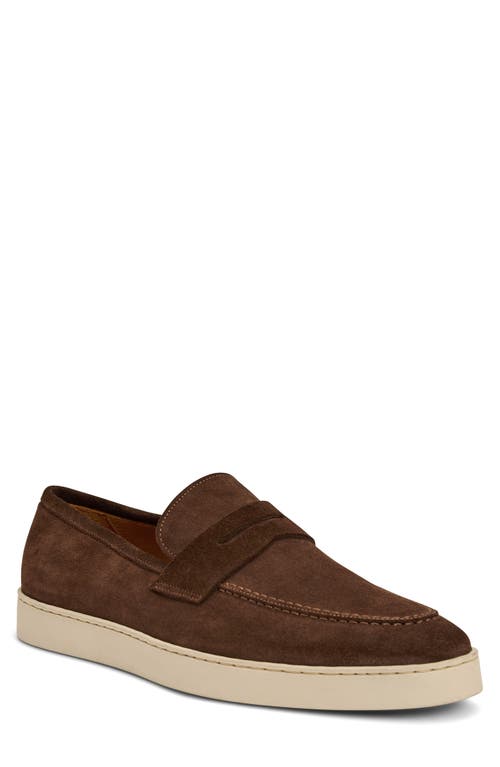 Bruno Magli Prato Penny Loafer In Brown
