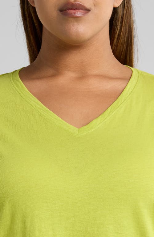 Eileen Fisher Easy V-neck Organic Cotton T-shirt In Chartreuse