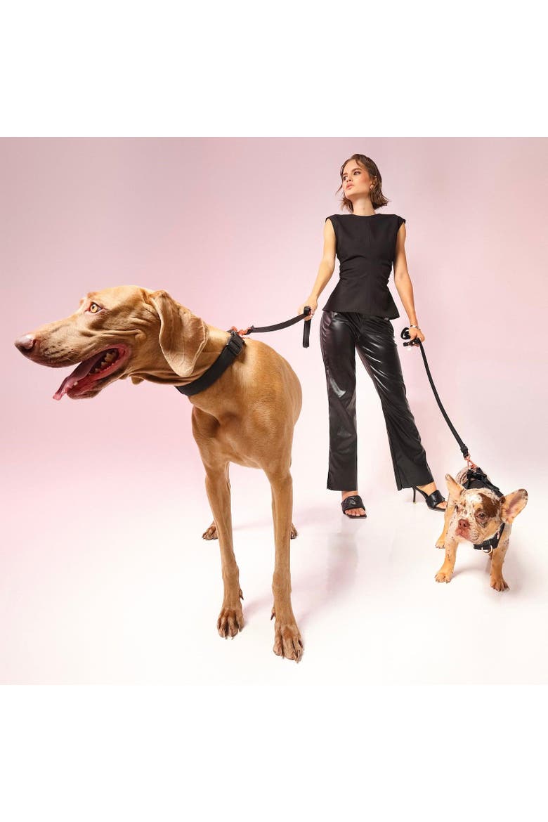 City Dog Leash, Alternate, color, Rockstar - Small