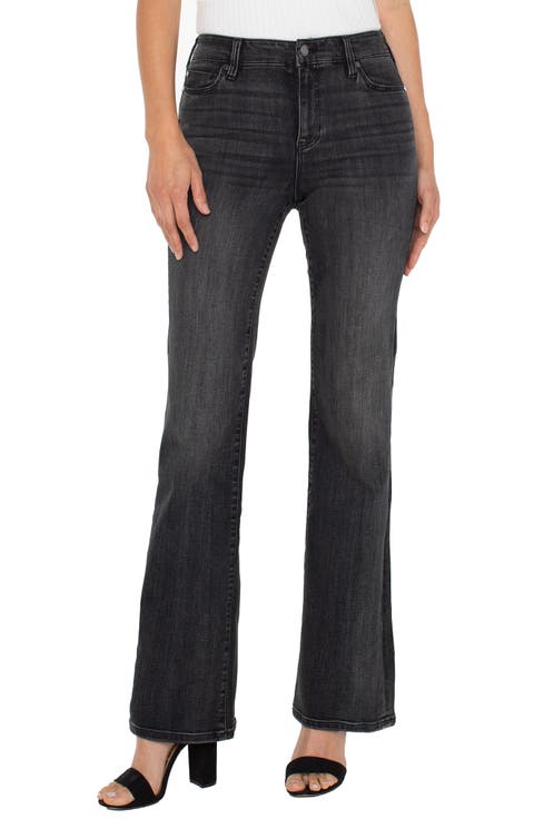 Lucy Bootcut Jeans (North Loop) (Regular & Petite)