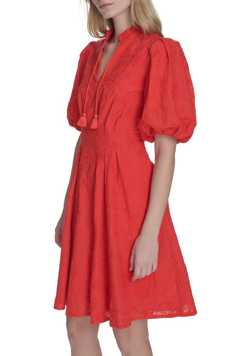 Floral Embroidered Puff Sleeve Cotton Fit & Flare Dress, Alternate, color, RED