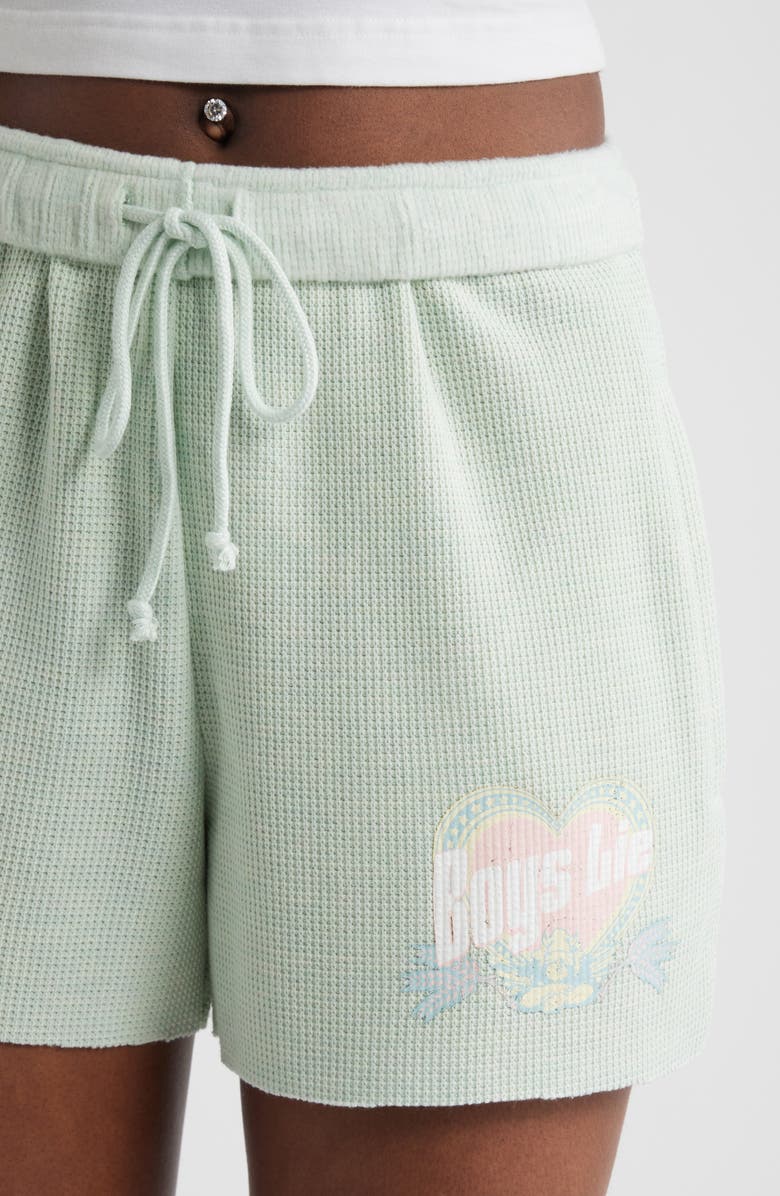 BOYS LIE Breakfast Beers Waffle Knit Shorts, Alternate, color, Sage