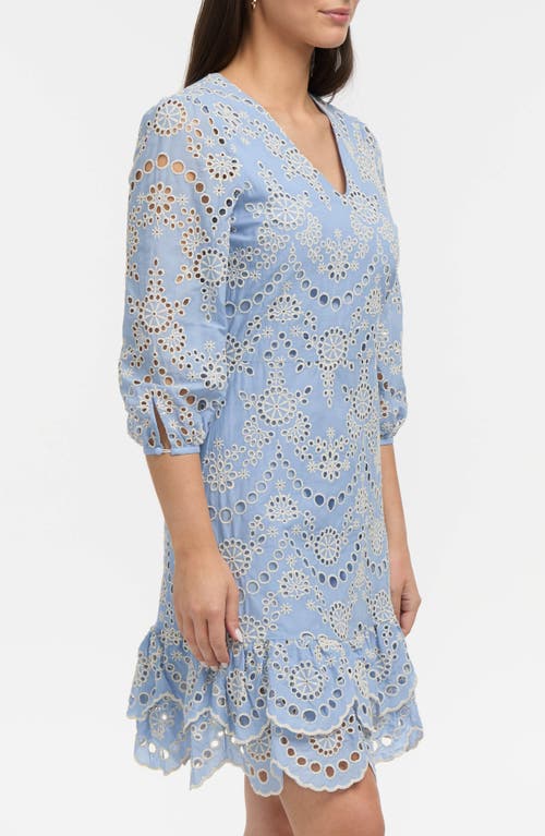Shop Ellen Tracy Embroidered Eyelet V-neck Minidress