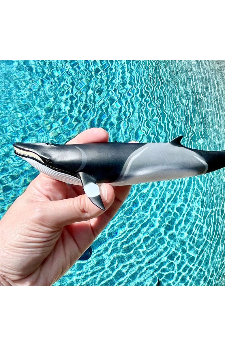 Safari Ltd. Minke Whale Toy, Alternate, color, NO COLOR