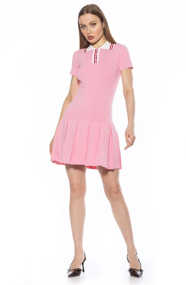 Alexia Admor Rory A-Line Polo Dress, Alternate, color, Pink